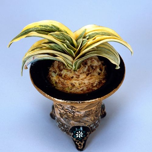理鳳