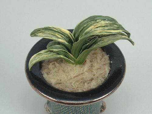清鑑