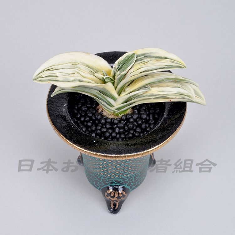 琴治