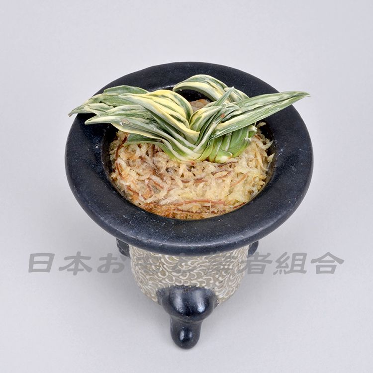 蘭奢待