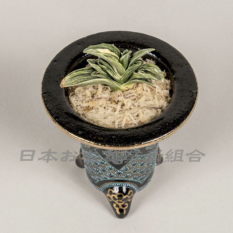 天暁