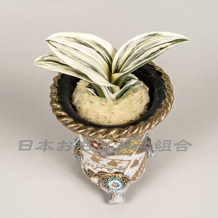 太楽