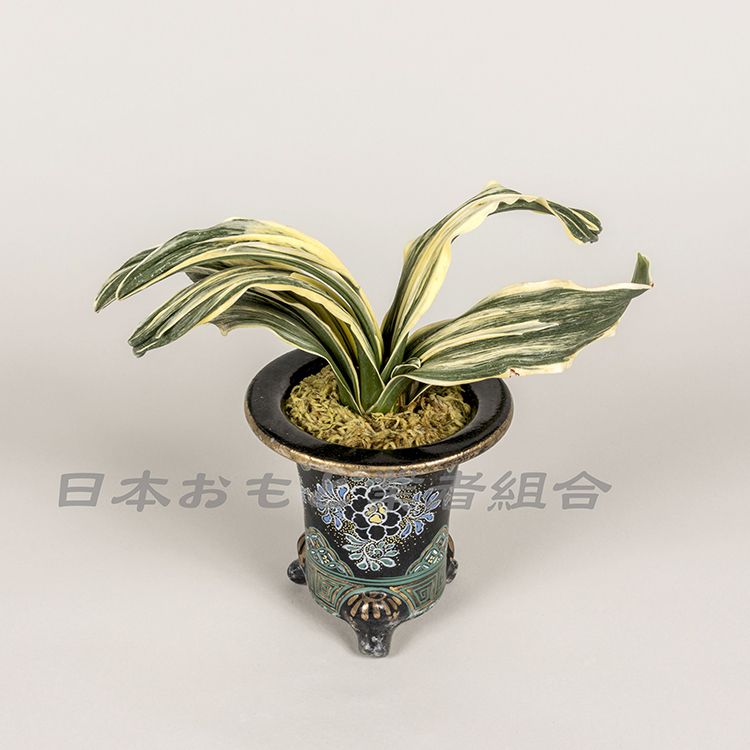 昇龍閣