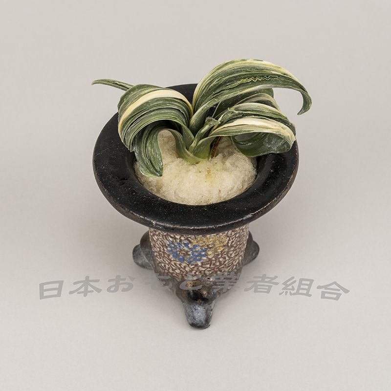 羅紗王丸