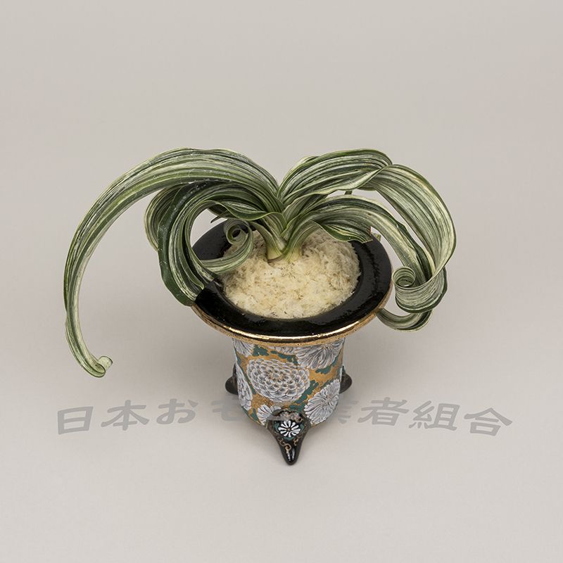 常磐獅子