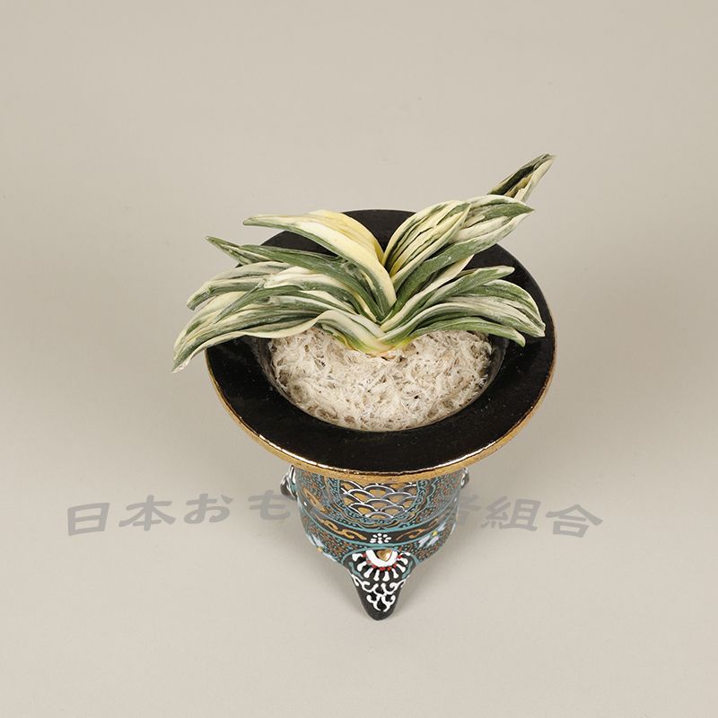 錦
