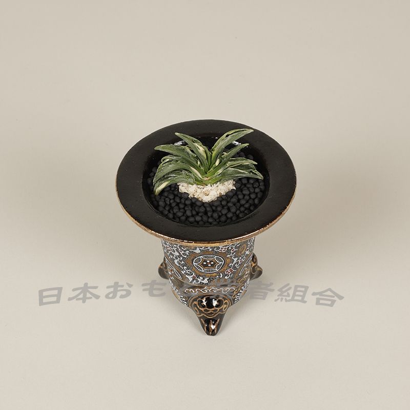 菱玄