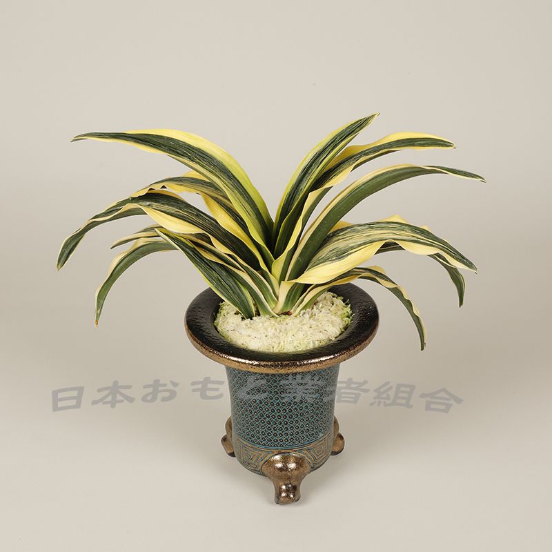 大琳