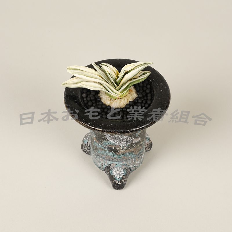 絢華