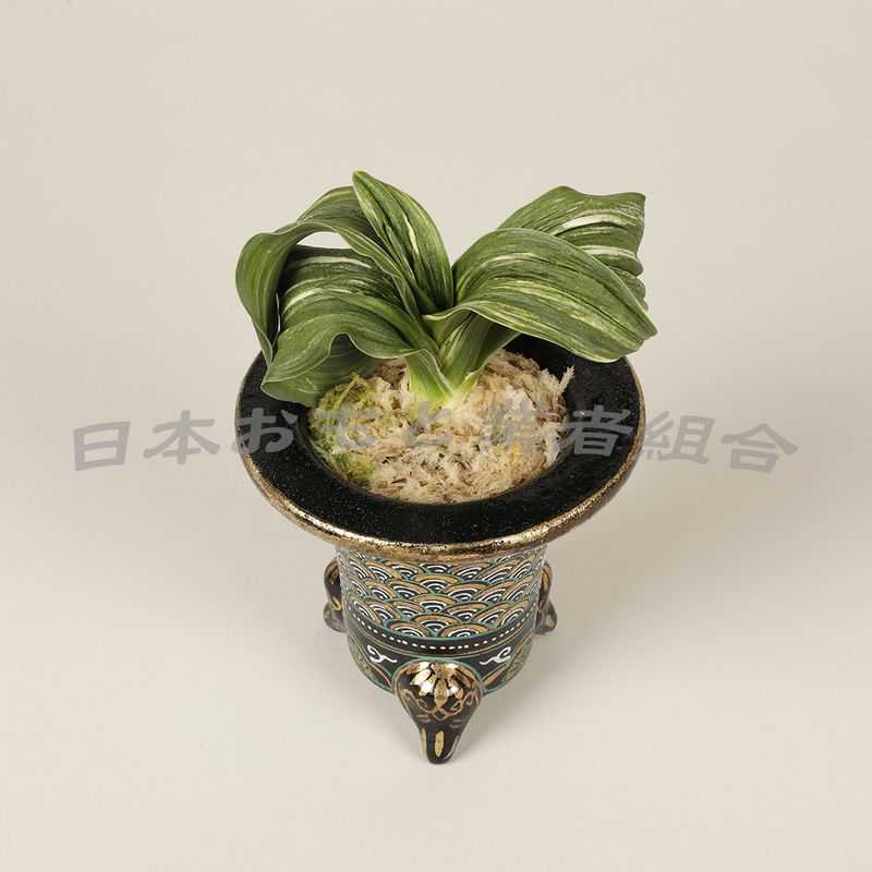 羅紗獅子
