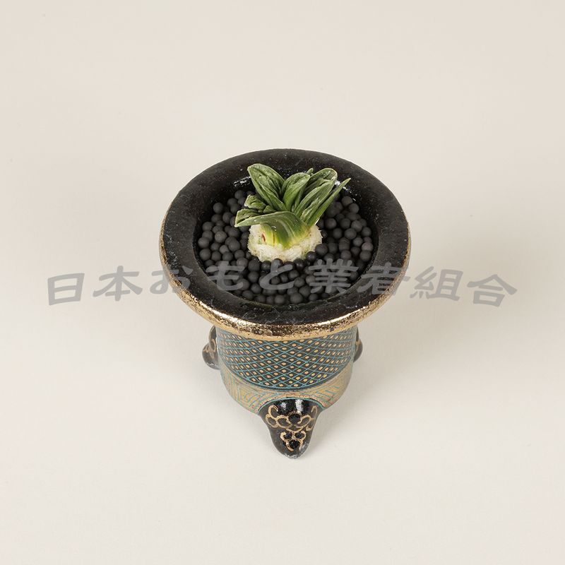 羅紗実生
