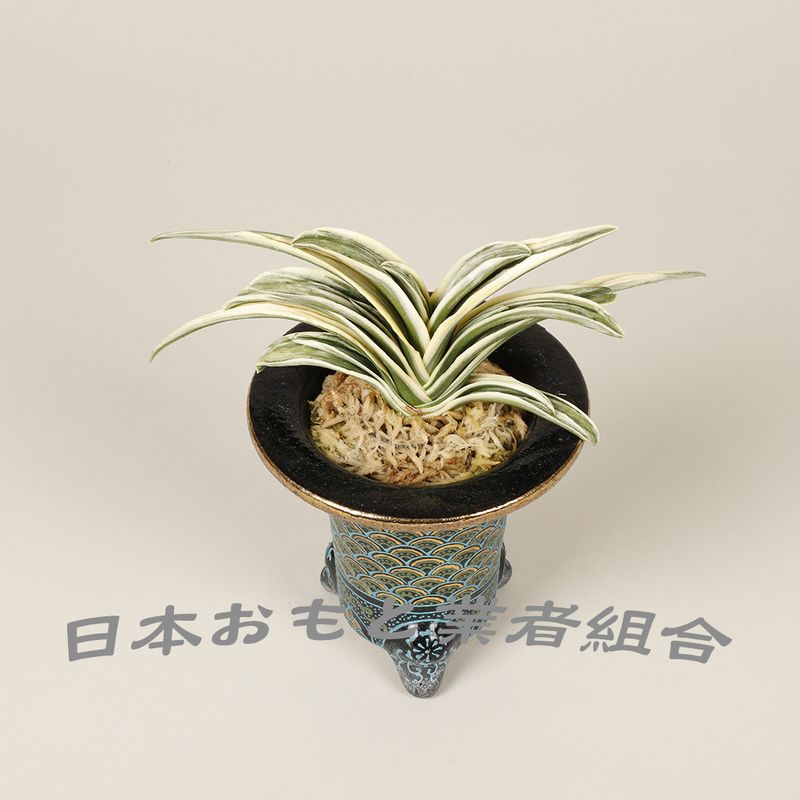 殿様