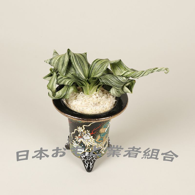 華深幸