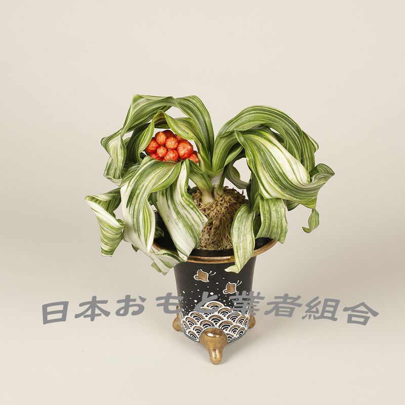 白鳳獅子