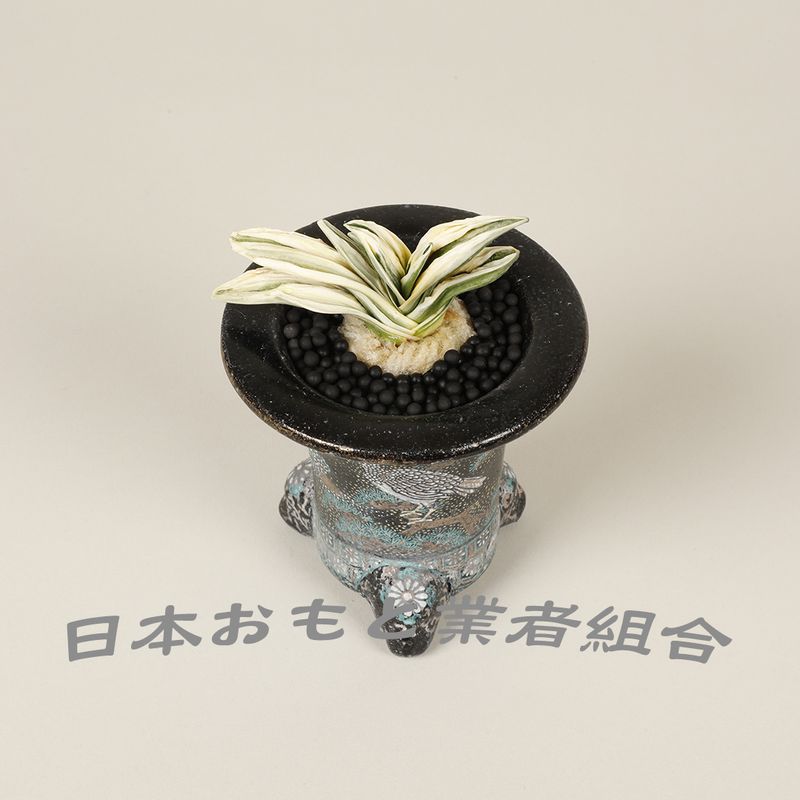 絢華