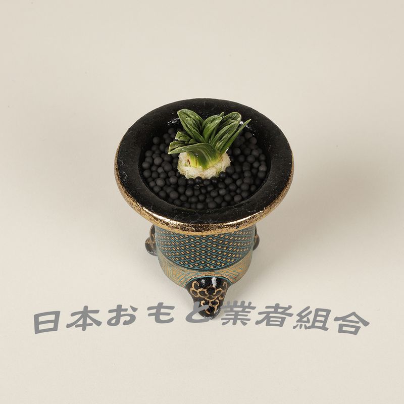 羅紗実生