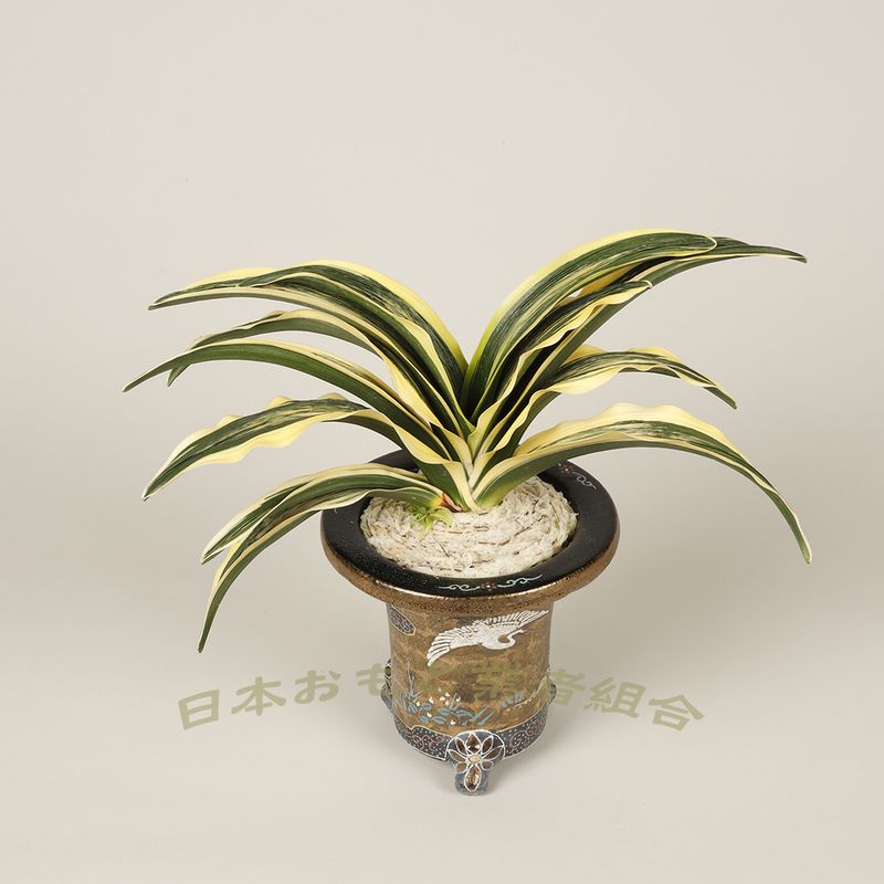 大琳
