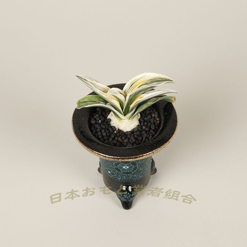 盧風