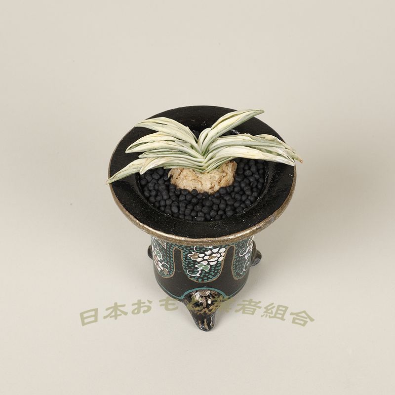 力宝