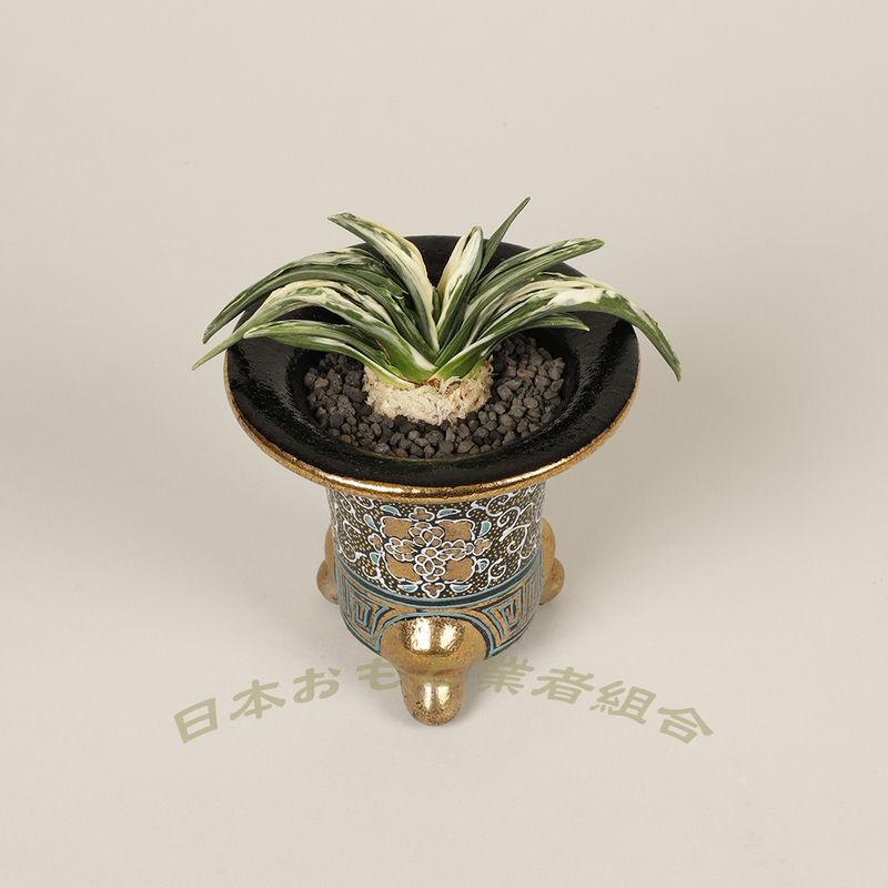 華陽