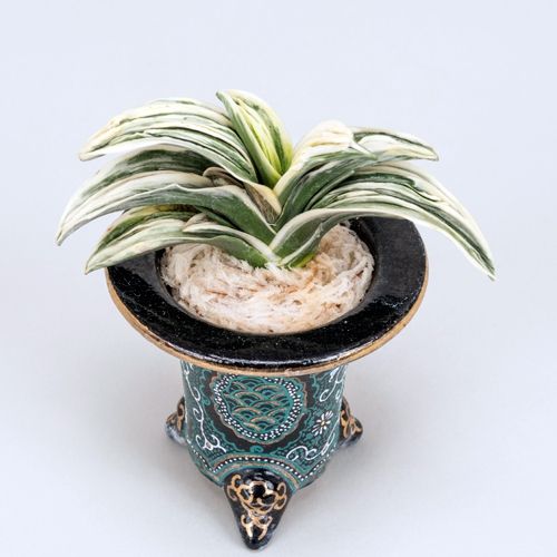 天花