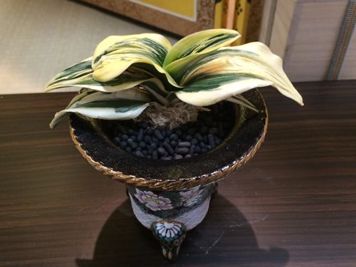 天児