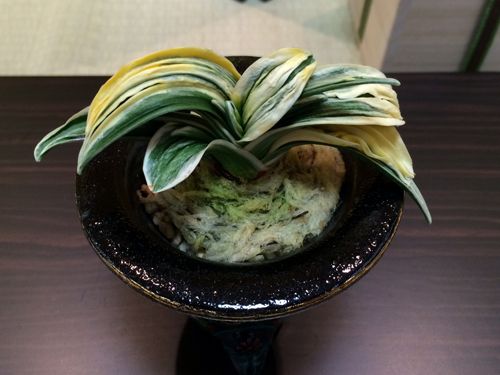 珠宝