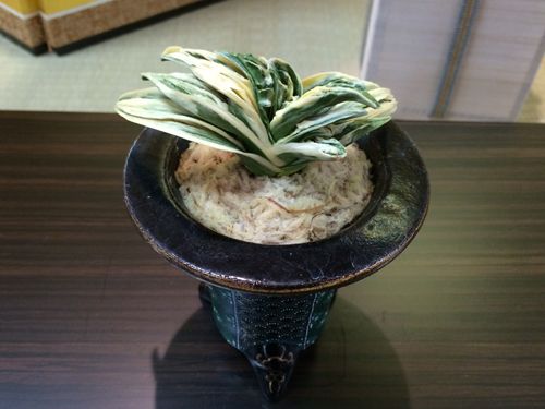 多 聞