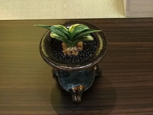 鷹 丸