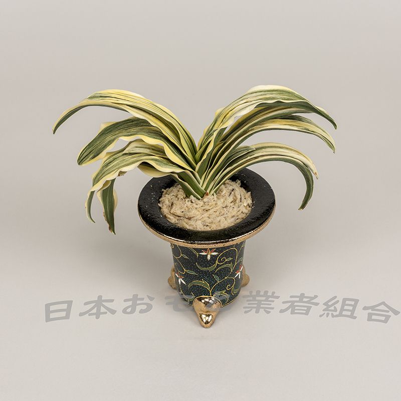海吉