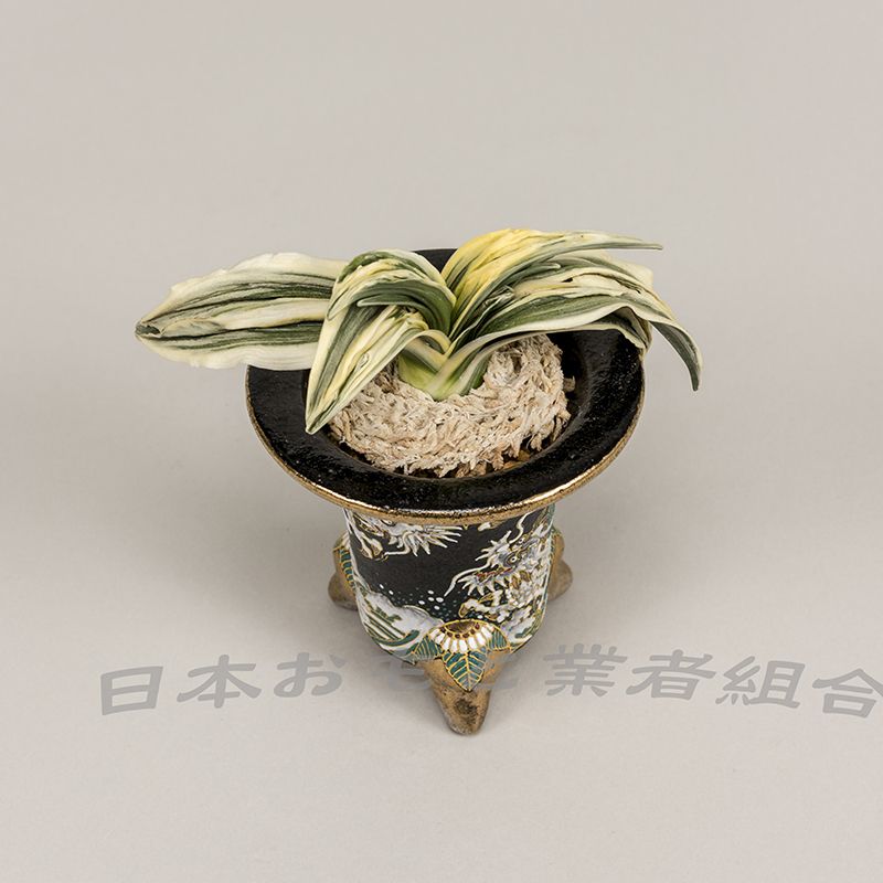 宮錦