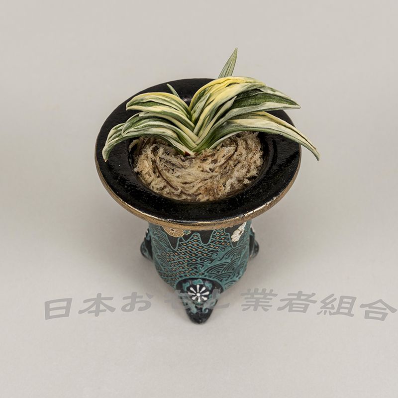 和楽