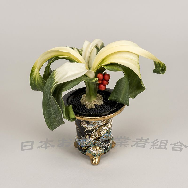 曙獅子