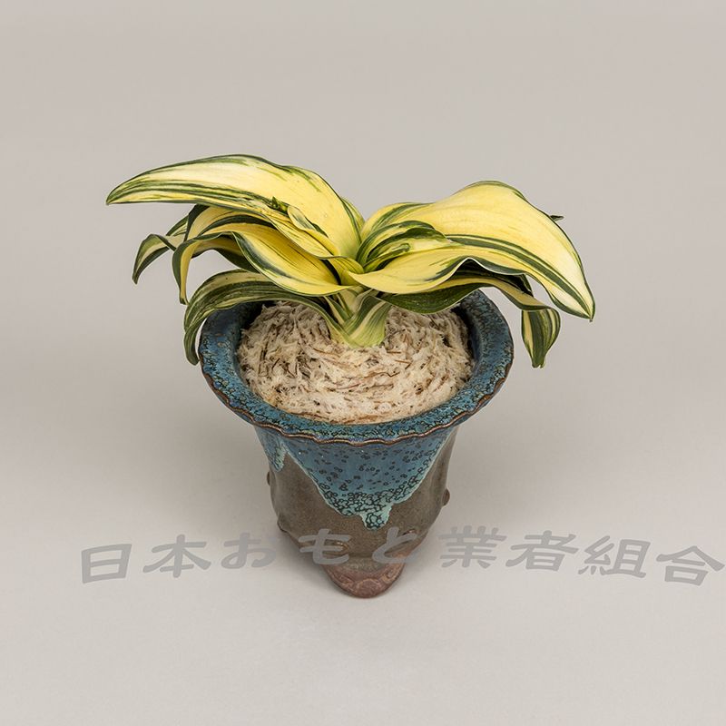 五箇山