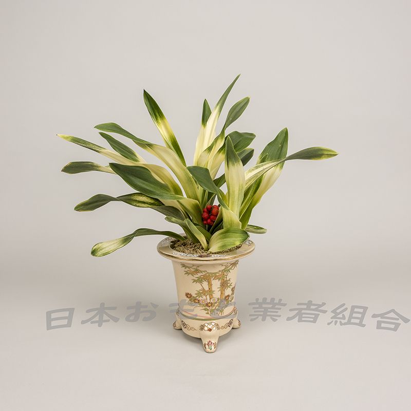 東天光