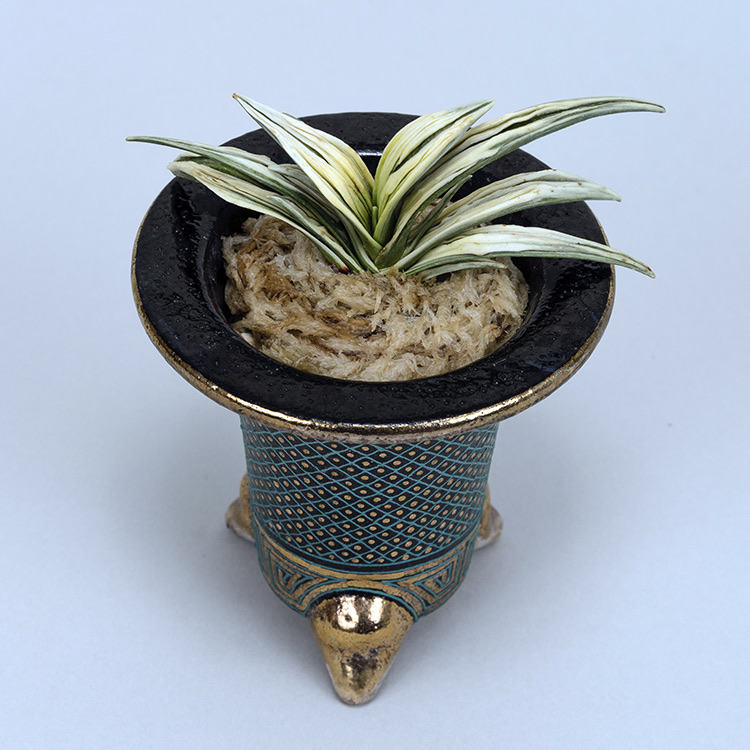 第74回日本おもと名品展 特別最優等作品 吉祥